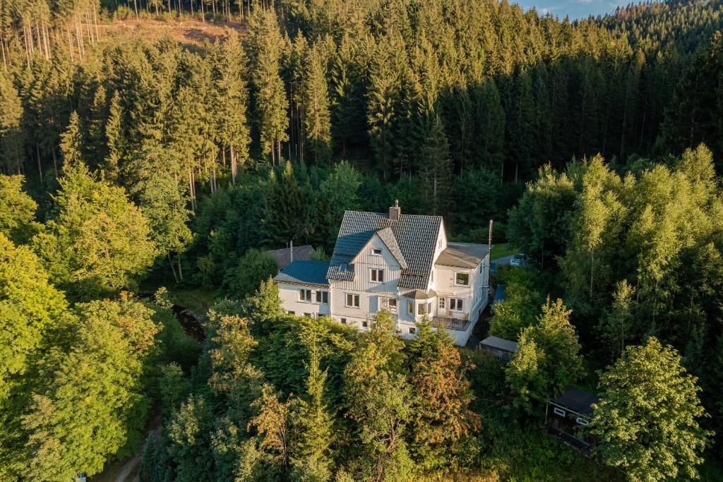 - une vue aérienne sur une grande maison dans les bois dans l'établissement Villa Hoheneck, à Wildemann