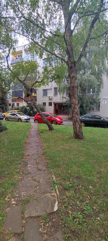 Fotografia z galérie ubytovania M3 Zugló Apartment v Budapešti