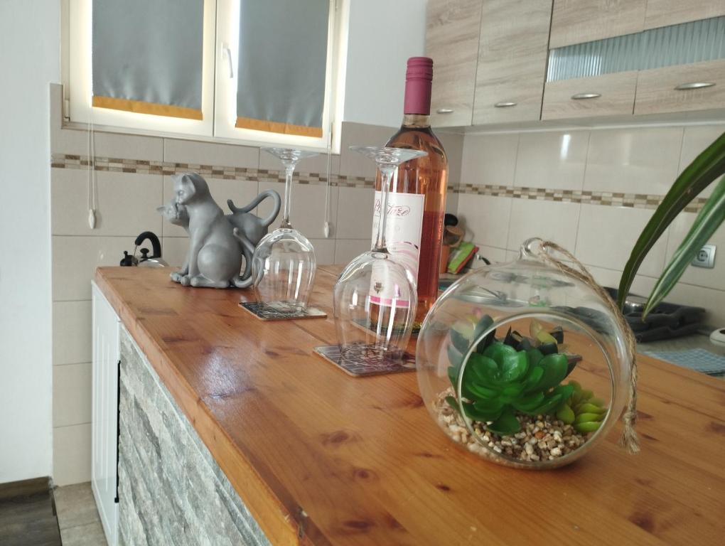 Pića u objektu Pocanic's apartment