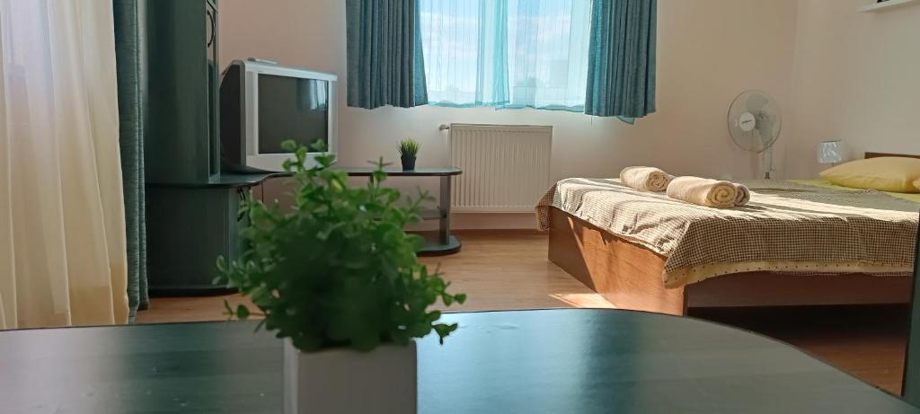 VIP Apartments in the Centre - Housity