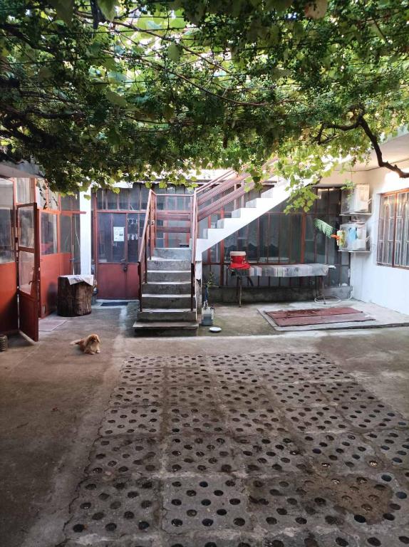 a dog laying on the ground in front of a building at Къща за гости Бяла Къща in Kavarna