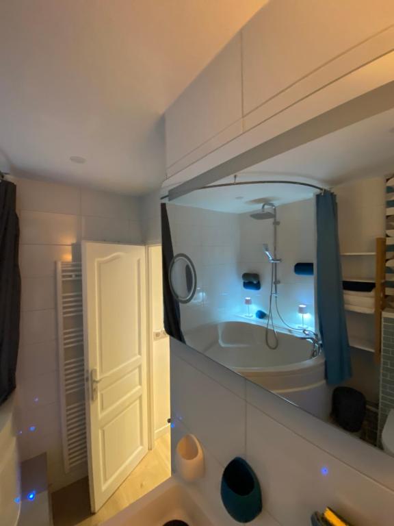 La salle de bains est pourvue d'une baignoire et d'un lavabo avec un miroir. dans l'établissement Cosy courcelles, à Paris