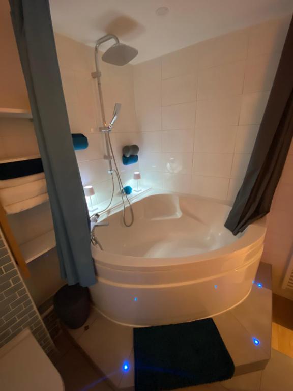 une baignoire dans une salle de bain avec douche dans l'établissement Cosy courcelles, à Paris