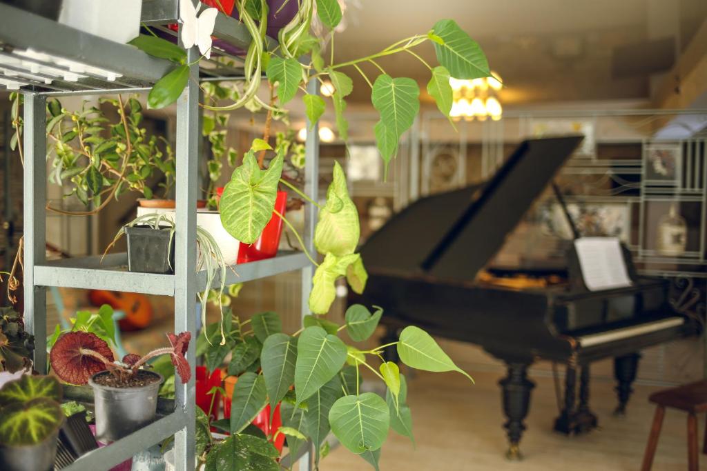 Fotografie z fotogalerie ubytování Hotel Kera v destinaci Tbilisi City