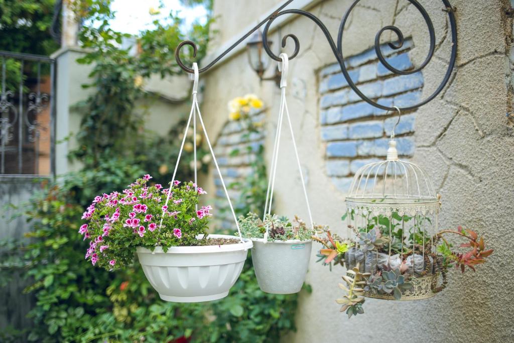 Zahrada ubytování Hotel Kera