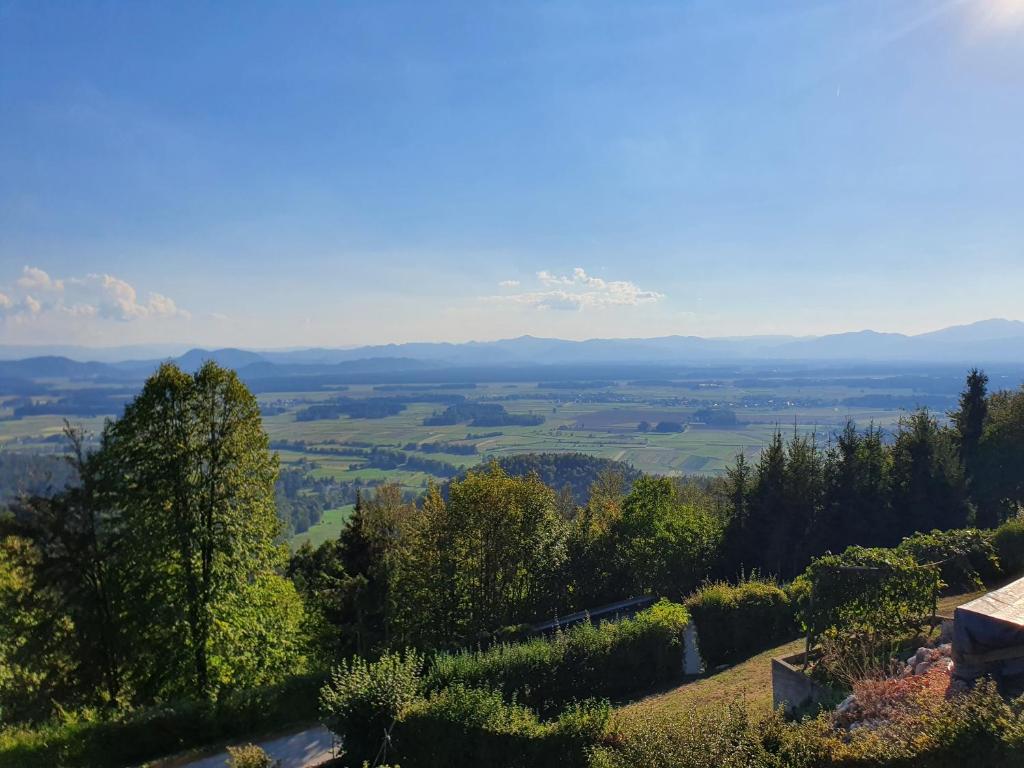 Příroda nedaleko vily