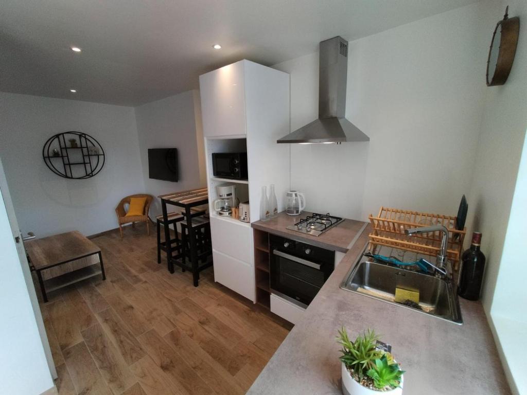 a kitchen with a sink and a counter top at Petite Maison Cosy in Saint-Brieuc