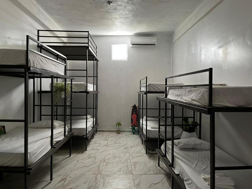 a room with four bunk beds in a room at Rincon Dorms in Rincon