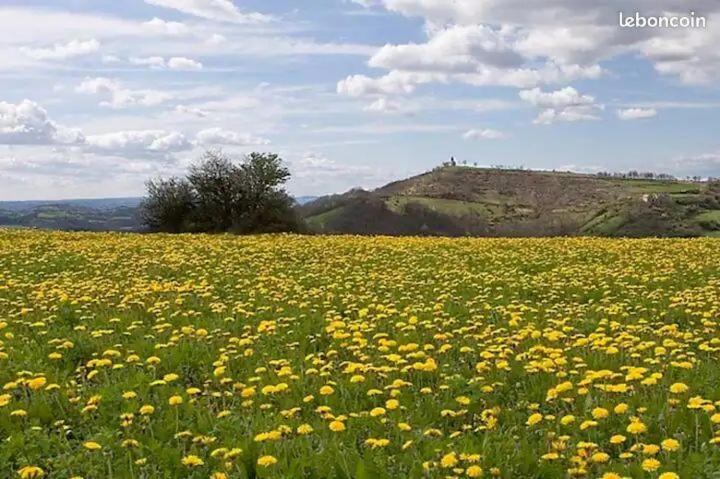 Paesaggio naturale nelle vicinanze della casa vacanze