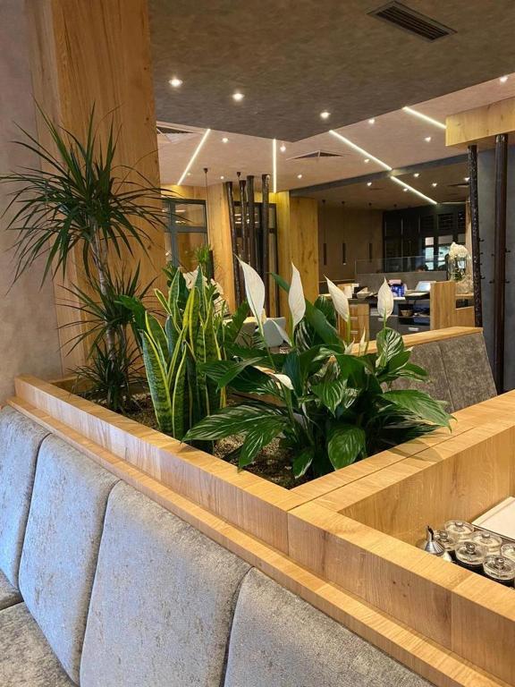 OLÉ Hotel - Resim 16