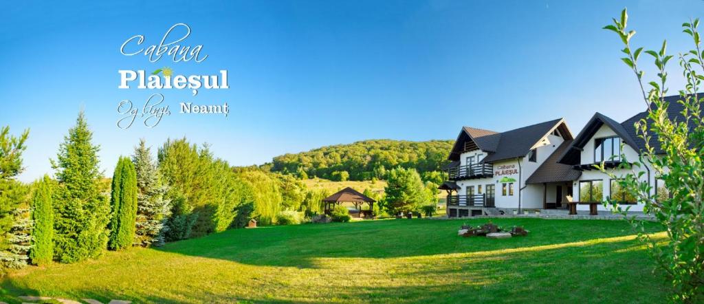 a house on a large yard with a green lawn at Cabana Plăieșul in Tîrgu Neamţ