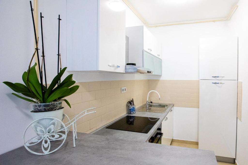 Kuchyňa alebo kuchynka v ubytovaní Apartmani 6M i M5