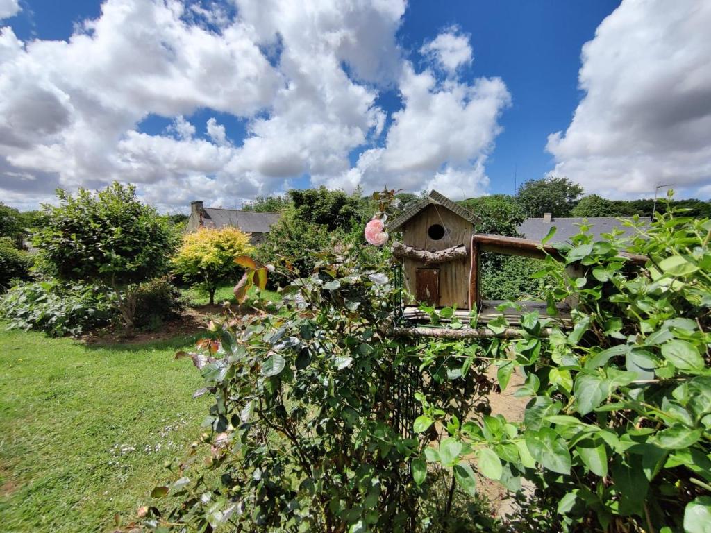 einen Garten mit einem Vogelhaus und einer rosa Rose in der Unterkunft Chez la Québécoise - chambre d'hôtes in Bourg-Blanc