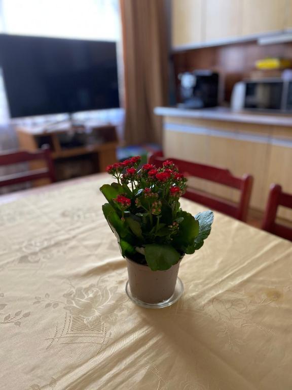 Fotografie z fotogalerie ubytování Bella Casa Economy Villa - Skibowa, close to Bielany ve Vratislavi