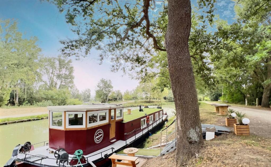 Péniche Dondon - Gîte cocooning sur Canal du midi في Avignonet-de-Lauragais: قارب صغير على نهر بجانب شجرة