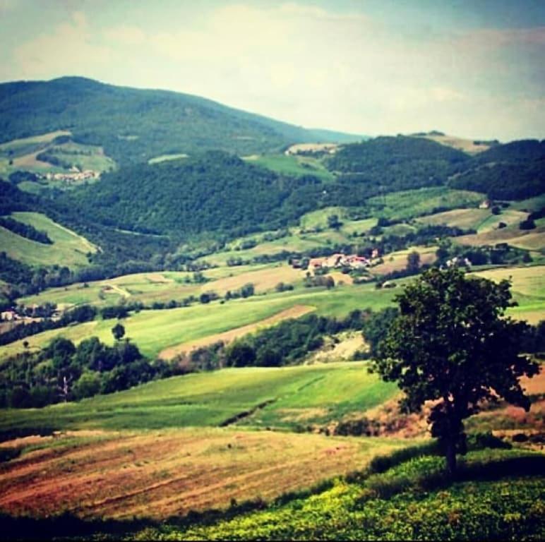 uma vista para um campo verde com uma árvore numa colina em C'era una volta a Piozzano Casa Rustica em Piozzano