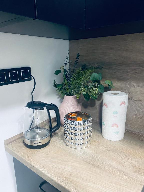 Kuchyň nebo kuchyňský kout v ubytování Sweet Apartment