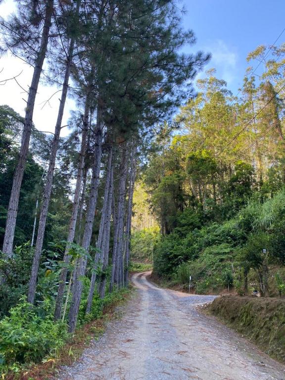 Sitio do Marinho em Nova Trento - 带游泳池的公寓