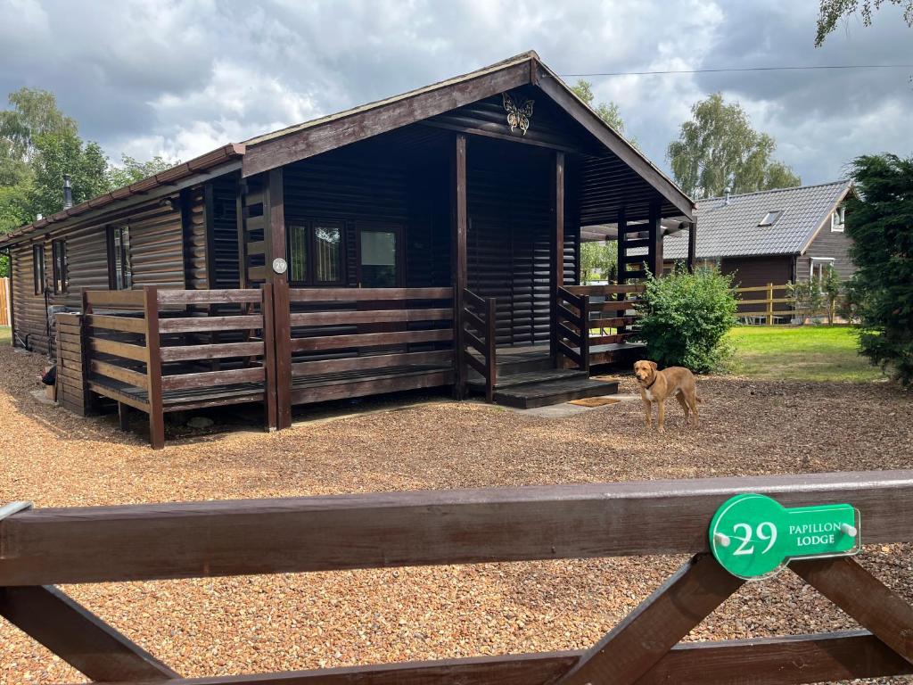 una cabaña de madera con un perro parado frente a ella en Cheerful 3-bedroom cabin with hot tub en Kings Lynn