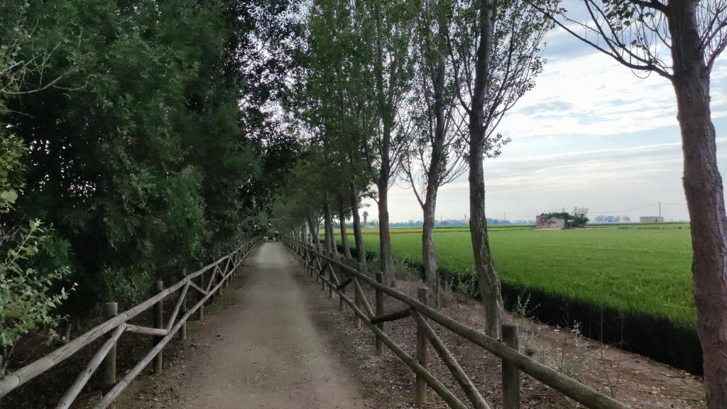 Príroda v okolí dovolenkového domu