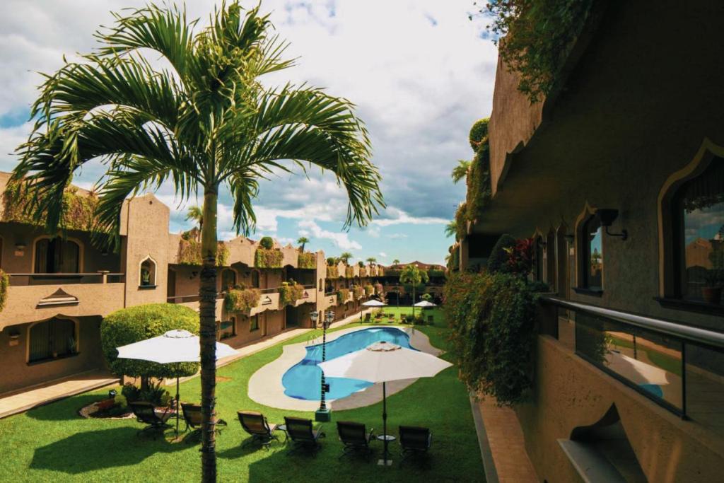 ein Apartment mit einer Palme und einem Pool in der Unterkunft Suites Layfer, Córdoba, Veracruz, México in Córdoba