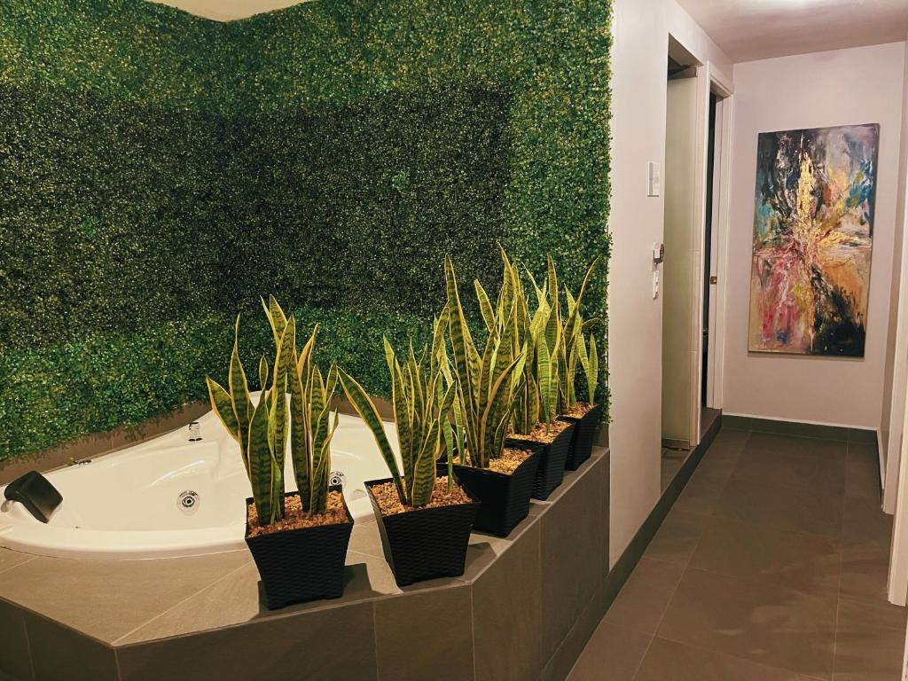 Fotografie z fotogalerie ubytování Suites Layfer, Córdoba, Veracruz, México v destinaci Córdoba