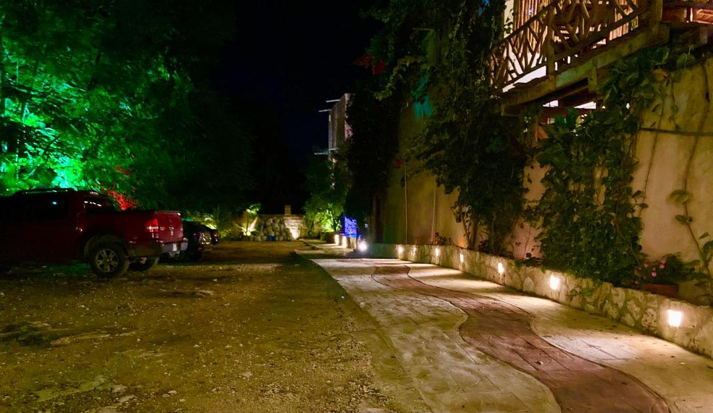 Un jardín fuera de Casa San Juan