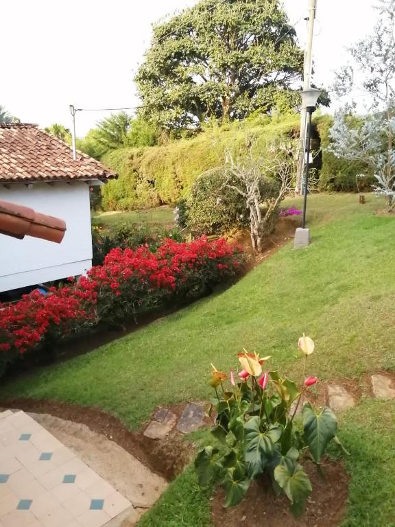 Zahrada ubytování casa calima