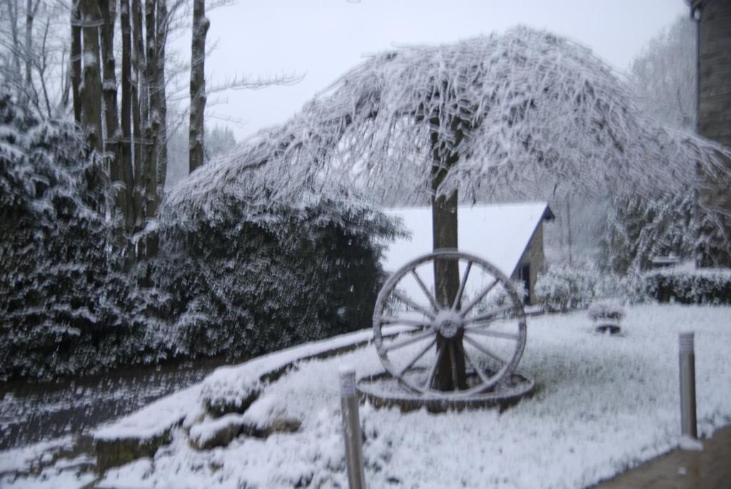 Le Clos Arboré (Gîte) v zimě