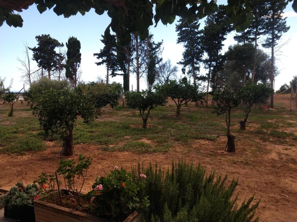 A garden outside Il gazebo