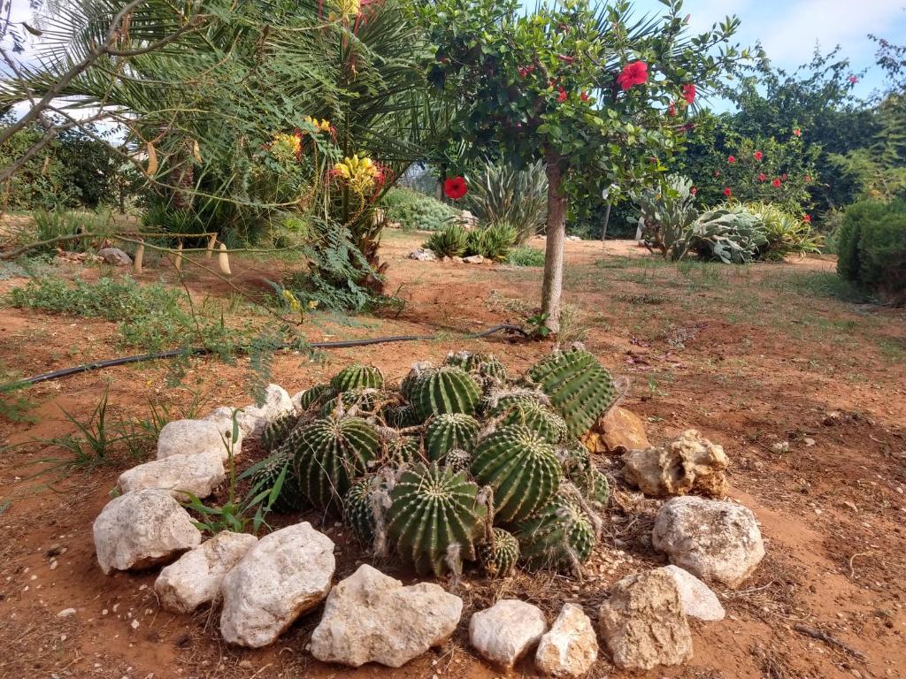 A garden outside Il gazebo