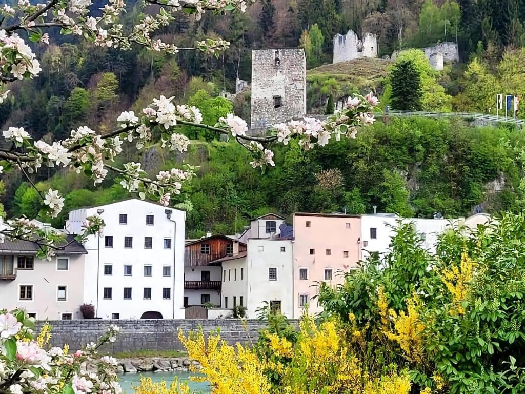 Příroda nedaleko apartmánu