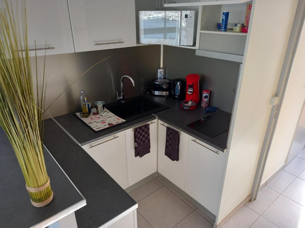 Kuchyňa alebo kuchynka v ubytovaní L'Arche de Noé 217, Studio mezzanine vue imprenable