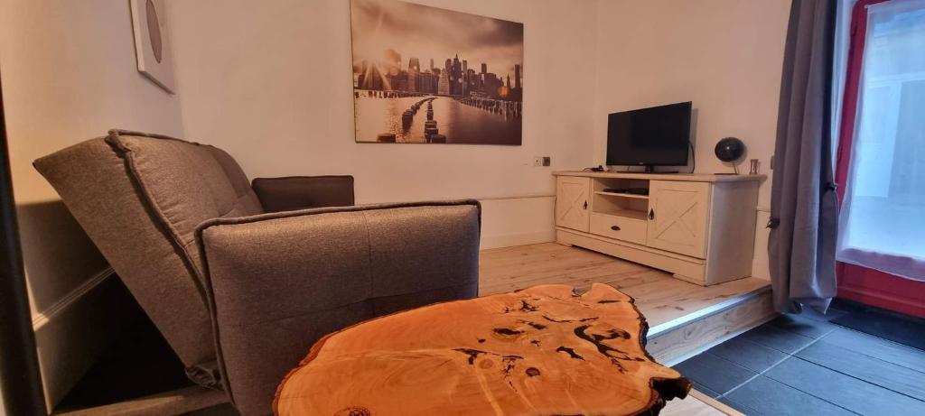 TV a/nebo společenská místnost v ubytování Gîte maisonnette- Et à côté coule une rivière