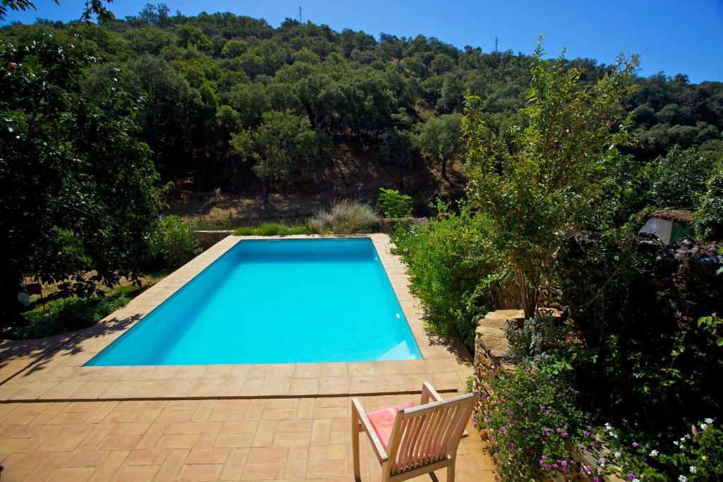 a swimming pool in a garden with a chair next to it at Casa Estrella in Alájar