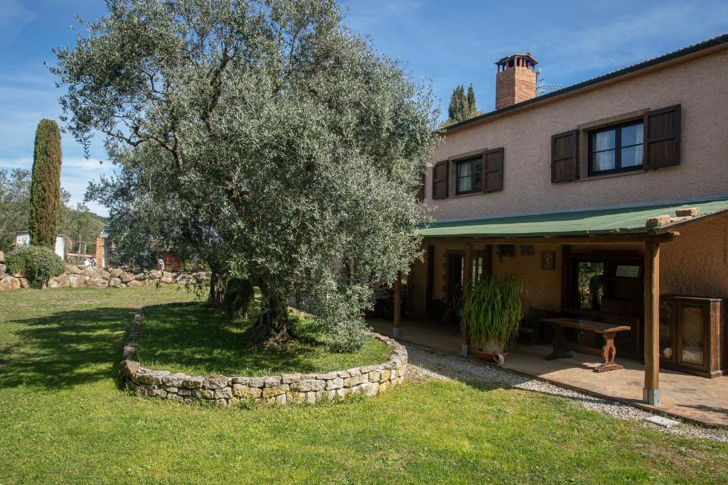 dom z drzewem przed nim w obiekcie Casa Girasole w mieście Roccastrada