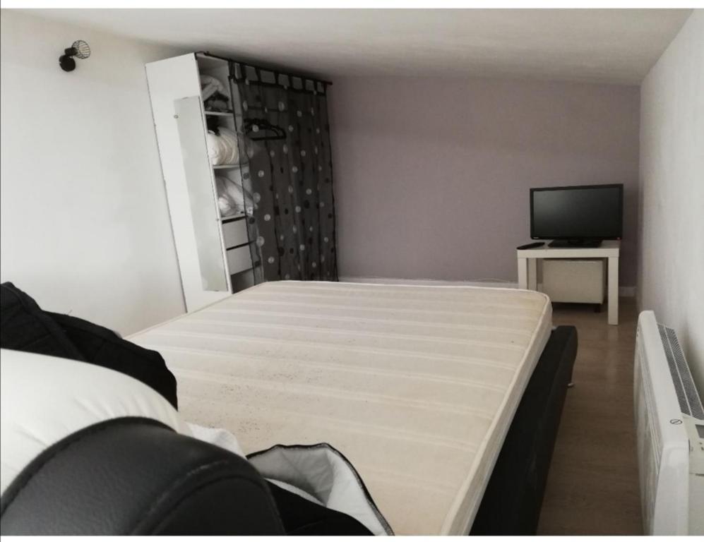 een slaapkamer met een bed en een flatscreen-tv bij loft a montargis in Montargis