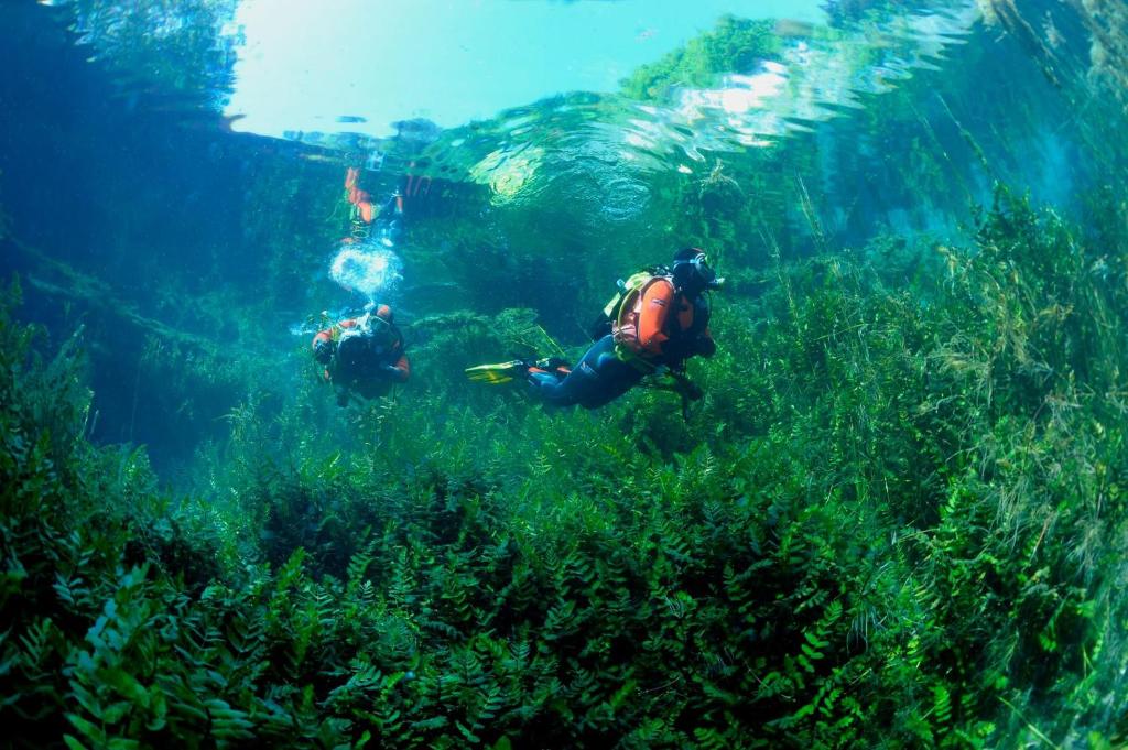 Goście zatrzymujący się w obiekcie Casa Rosamari - su Lago di Posta Fibreno, Appartamento con camino