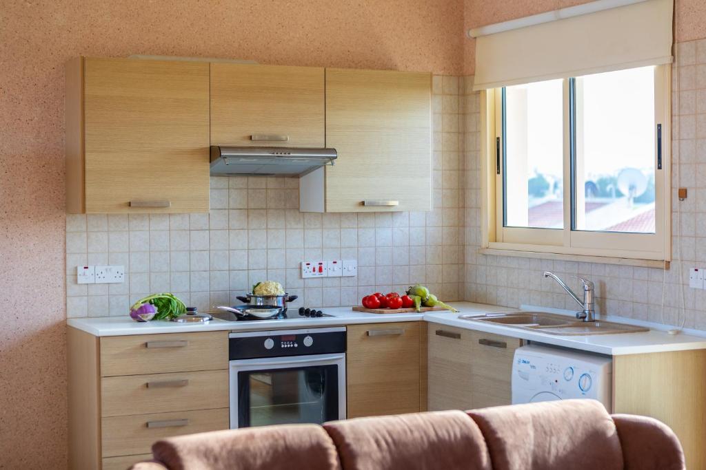 Kuchyň nebo kuchyňský kout v ubytování Pelagos apartment 6