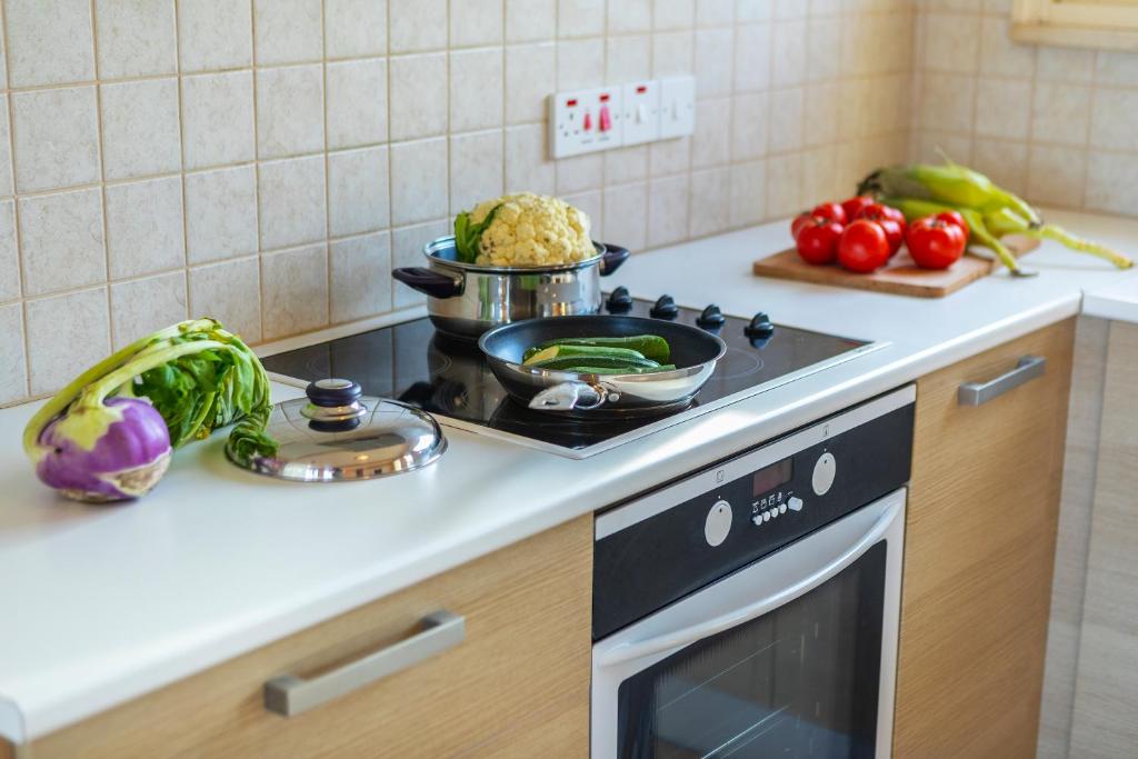 Kuchyň nebo kuchyňský kout v ubytování Pelagos apartment 6