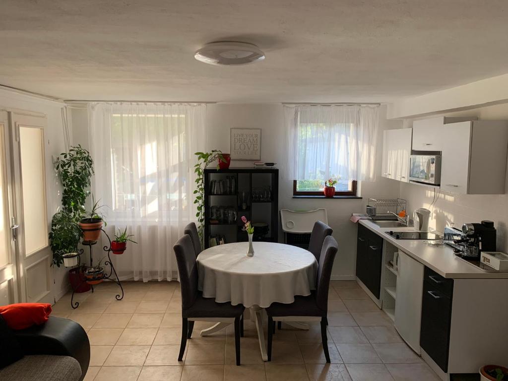 Kuchyňa alebo kuchynka v ubytovaní Piknik Apartmant