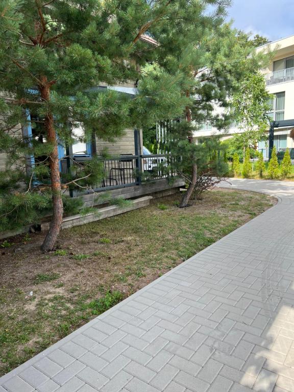 a sidewalk in front of a house with trees at Rugio namai-Rye house in Palanga