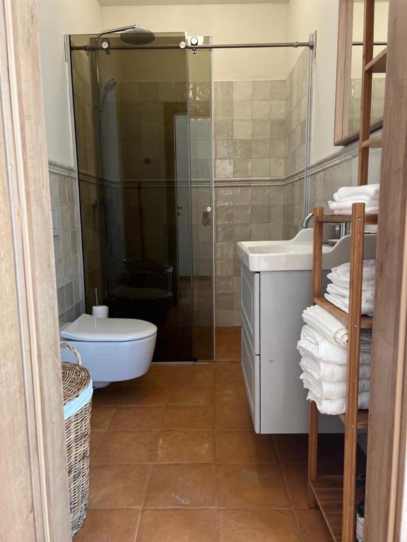 a bathroom with a shower and a toilet and a sink at Rugio namai-Rye house in Palanga