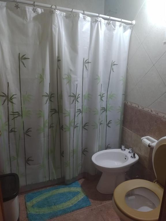 Koupelna v ubytování Posada del Ñireco