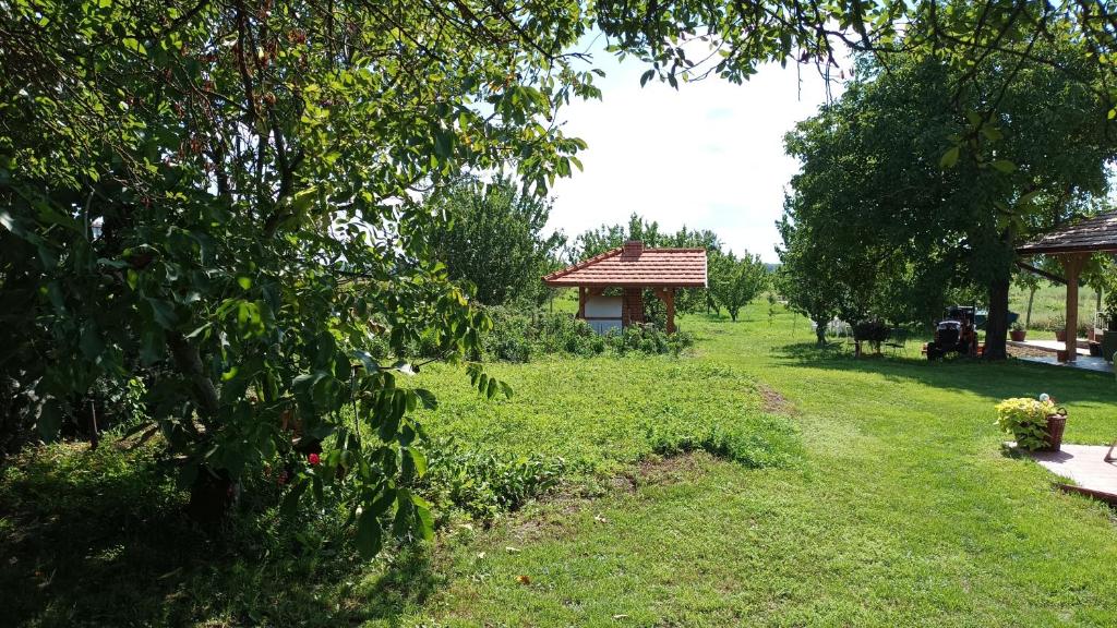 Vonkajšia záhrada v ubytovaní Guesthouse Tulipán Vendégház