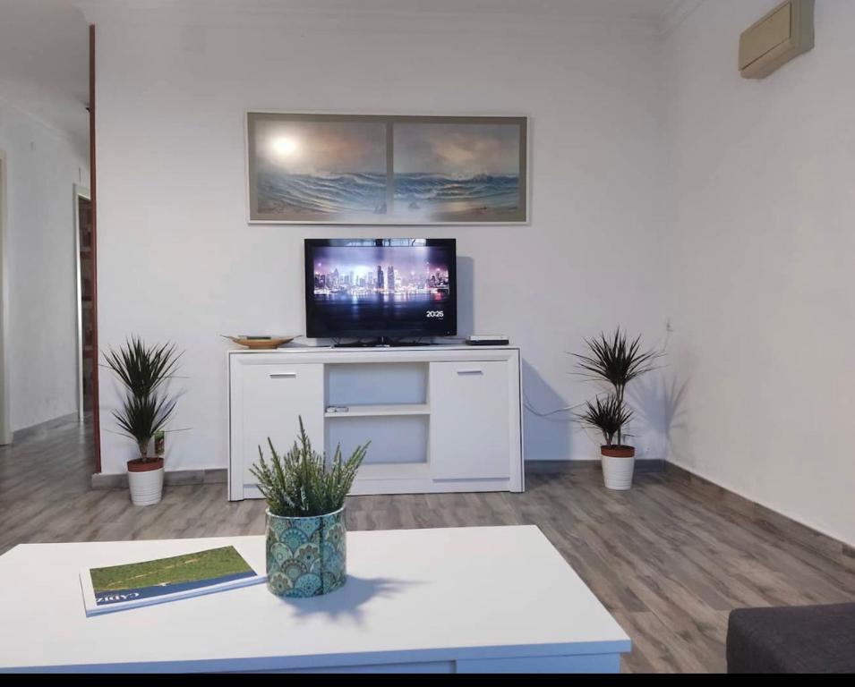 TV a/nebo společenská místnost v ubytování las camelias