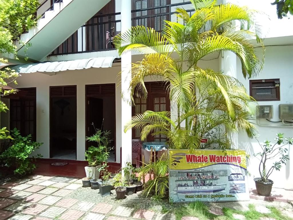 Znak przed domem z palmą w obiekcie Mila Rest Garden w mieście Mirissa