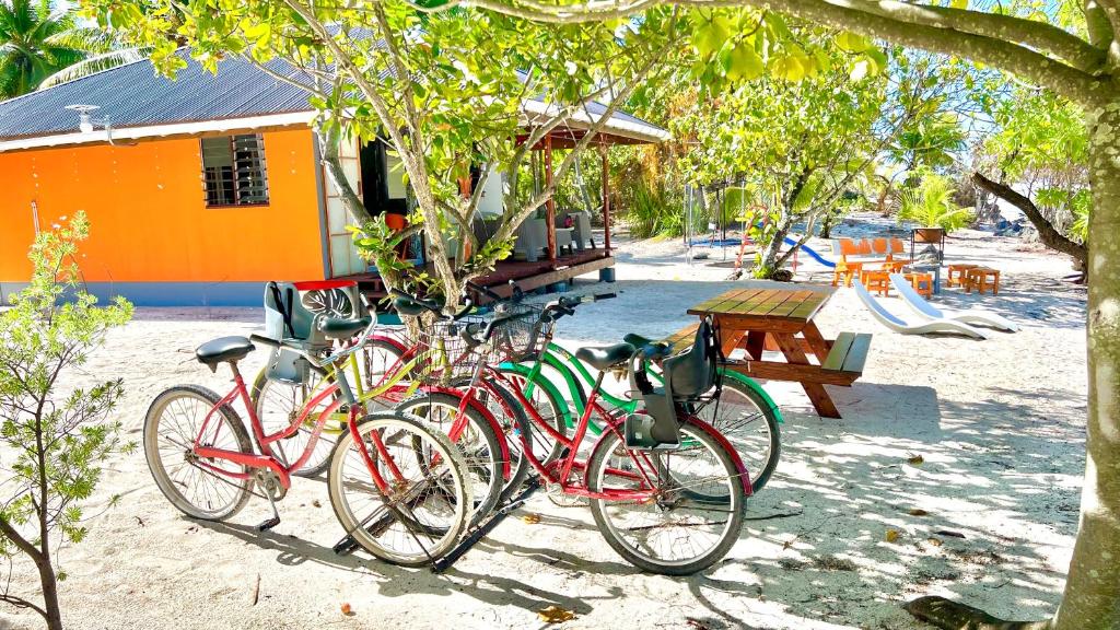 Fotografie z fotogalerie ubytování Hiti Tikehau, the ocean side bungalow v destinaci Tikehau