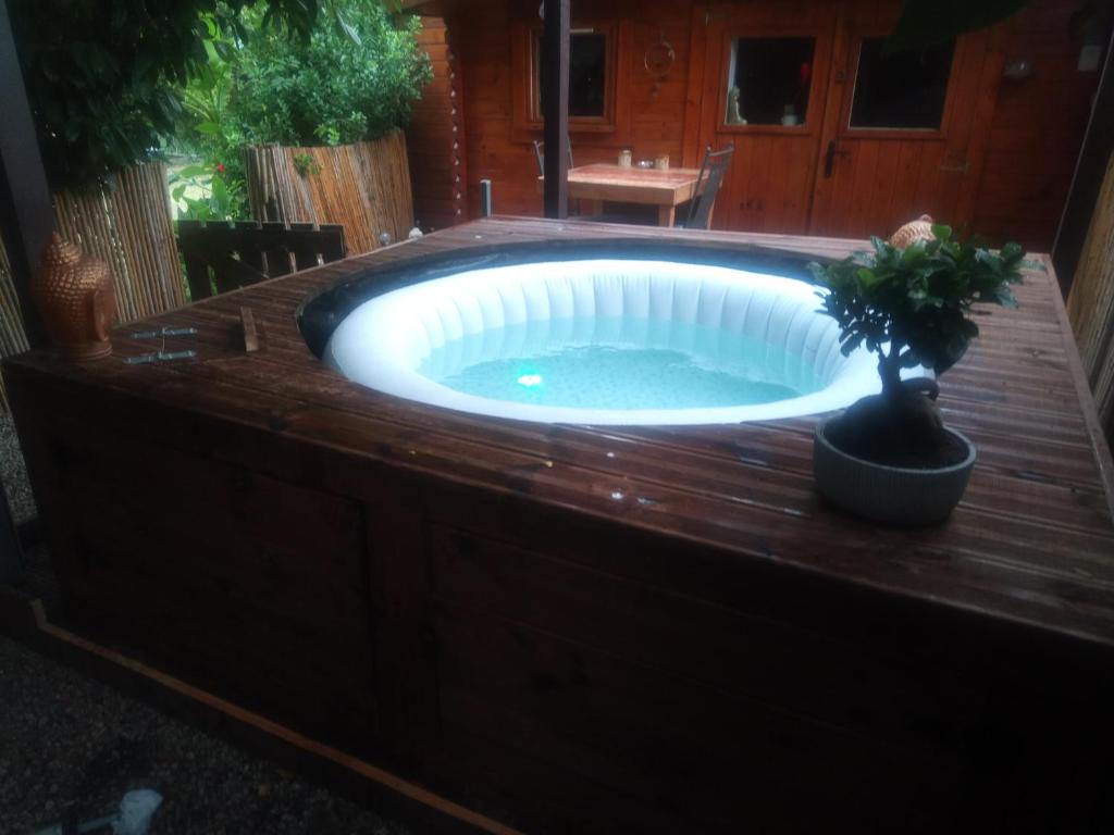 uma banheira de hidromassagem num quintal com um vaso de plantas em Chalet avec spa à Libourne proche St-Emilion em Libourne