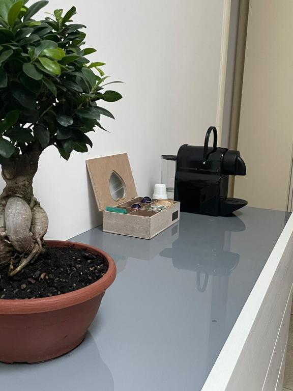 Fotografia z galérie ubytovania Casa Oberdan - private parking v destinácii Monopoli